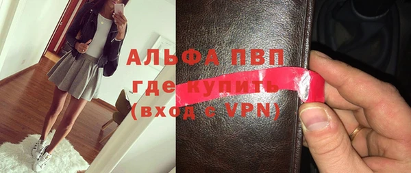 прущие грибы Краснослободск