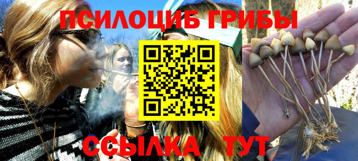 Псилоцибиновые грибы прущие грибы  где купить   Кулебаки  Вход с VPN 